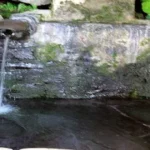 मंगरा’ और ‘धारे’ अब बनेंगे संजीवनी